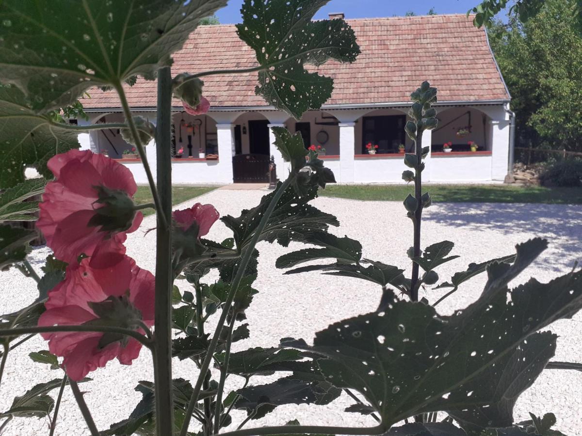 Letunt Idok Vendeghaz Villa Kemenesmihalyfa ภายนอก รูปภาพ
